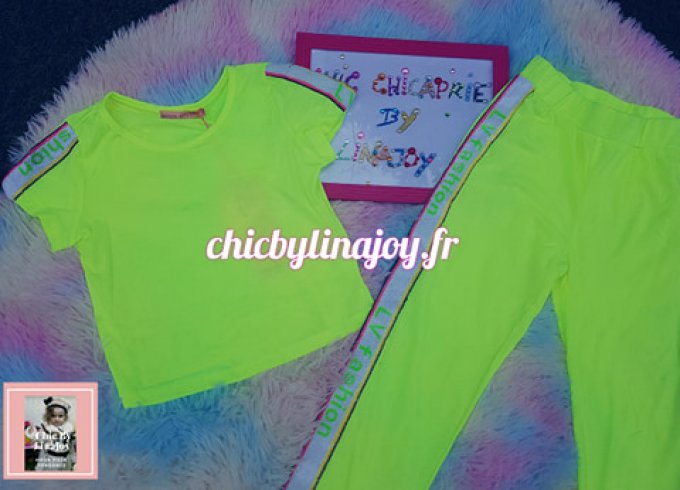 Ensemble LV Fluo Survet